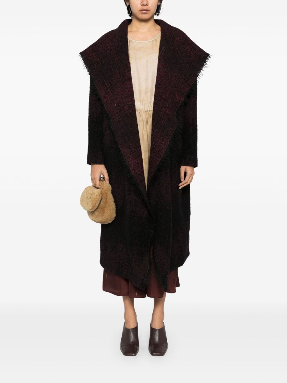 Abrigo