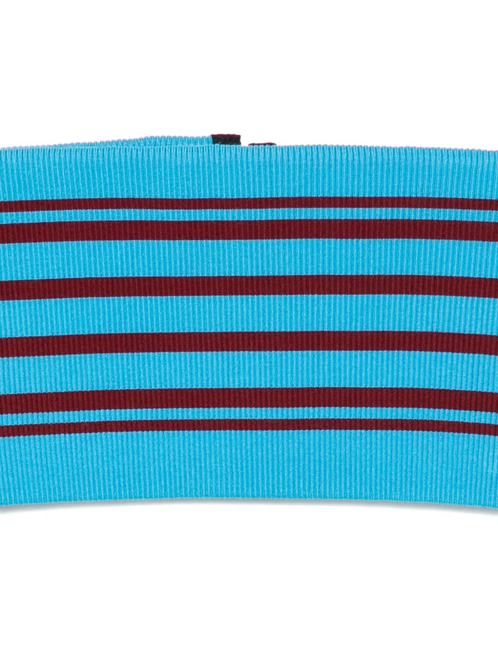 Fascia