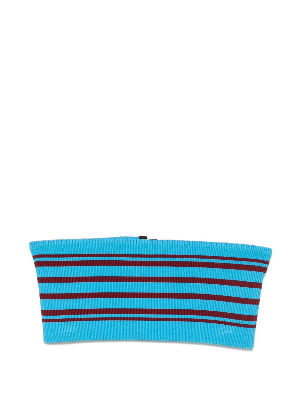 Fascia